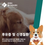 포레브동물의료센터