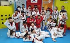 국가대표태권도