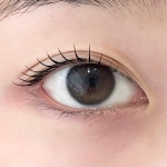 예하