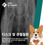 포레브동물의료센터