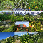 더힐링식물원 야영장