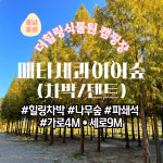 더힐링식물원 야영장