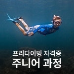 난바다 프리다이빙