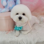 몽실묭실