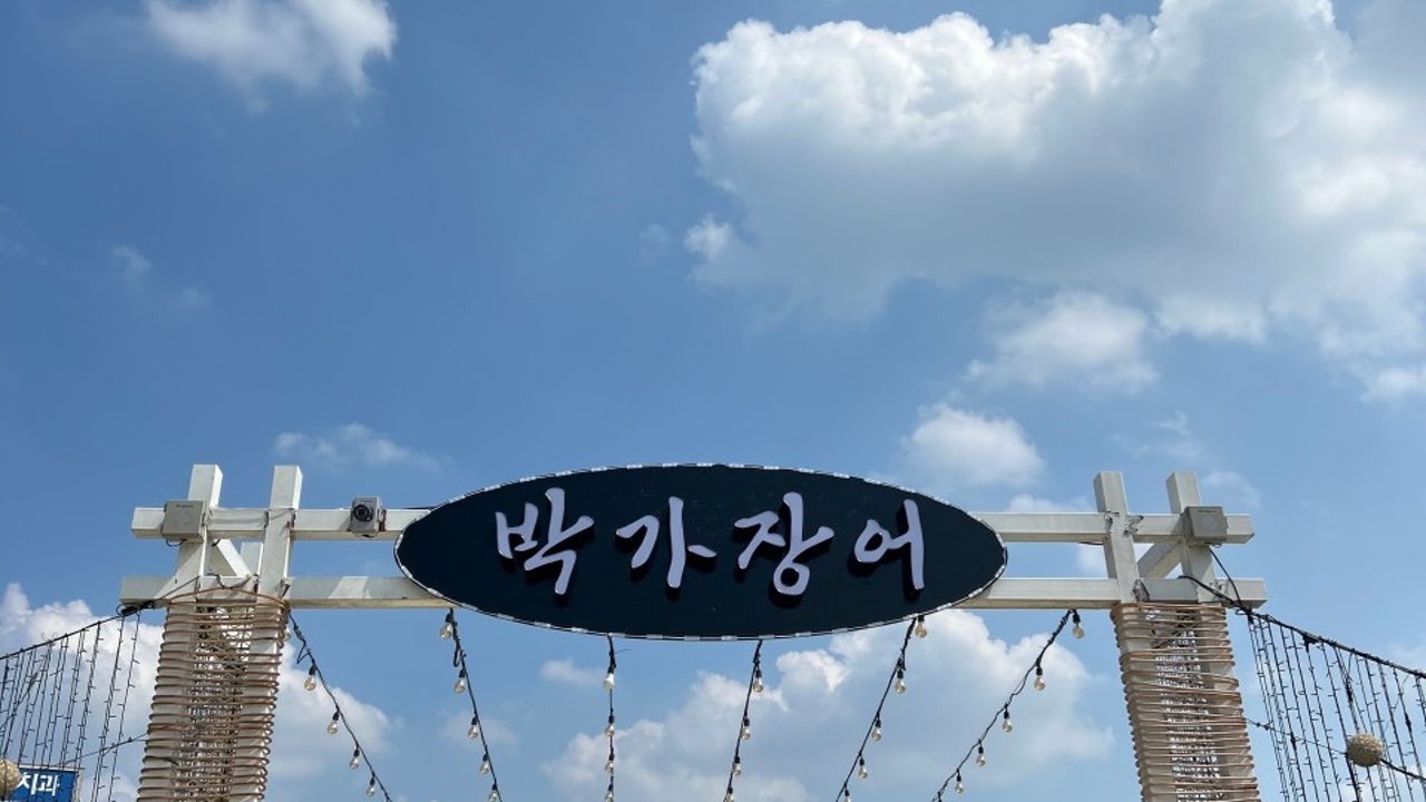 박가장어