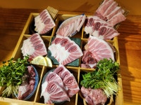 수원참치