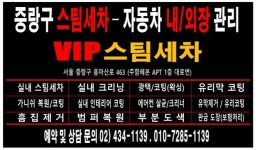 VIP스팀세차디테일링카케어