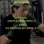 복싱인사이드 헝크짐