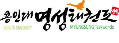 용인대명성태권도