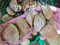 보라수산