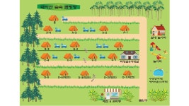 대이산 숲속 캠프