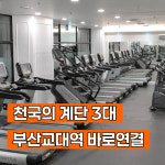 국제휘트니스 & PT 교대점