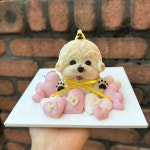 멍까루 강아지케이크 수제간식