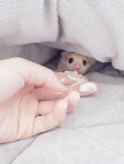특별한동물가게 평택점