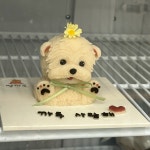 멍까루 강아지케이크 수제간식