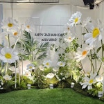 크멋자이언트플라워