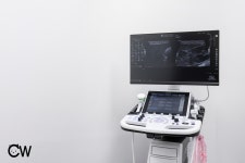 24시청담우리동물병원