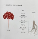 아모레퍼시픽 신당2점