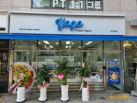 요고프로즌요거트 대구 중구점