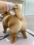 유독이쁨