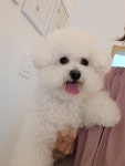 멍샤워
