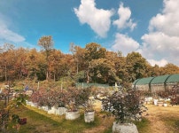 다남숲멍빌리지