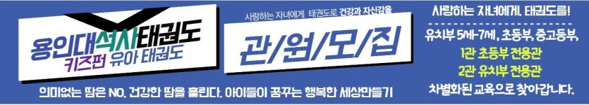 용인대석사태권도