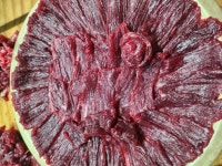 생생생고기 봉곡본점