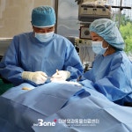 더본외과동물의료센터