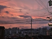 금화왕돈까스 용마산역점
