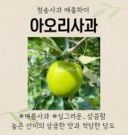 청송사과 애플하이
