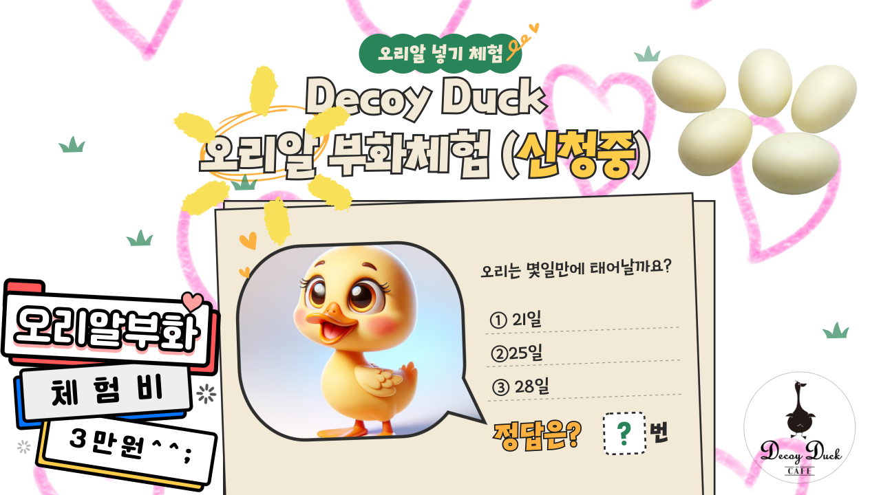 디코이덕 이미지