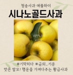 청송사과 애플하이