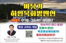 바닷가하얀목화밭