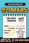 온리원태권도
