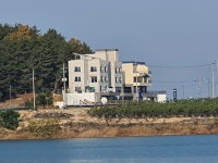 바닷가하얀목화밭