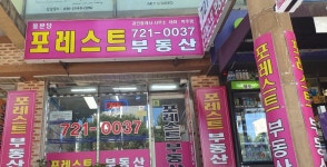 동분당포레스트공인중개사사무소