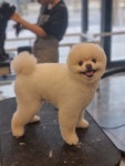 우쭈쭈