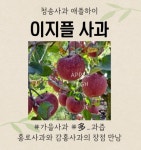 청송사과 애플하이