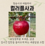 청송사과 애플하이