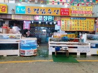 홍경심수산