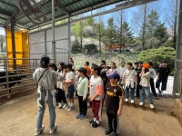 용인대청곡태권도