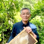 계룡산꿀마을