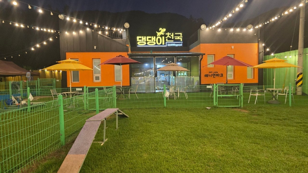 댕댕이천국