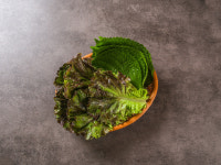 개성보쌈족발 본점