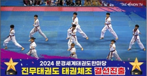 진무태권도