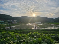 농업회사법인 해랑해