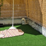 호다다 애견 호텔