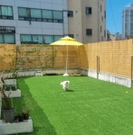 호다다 애견 호텔