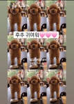그루머엔제이